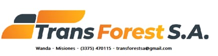 Trans Forest